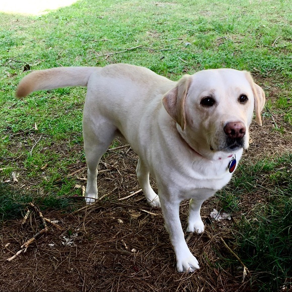 Thanks for visiting my closet! - Picture 3 of 11